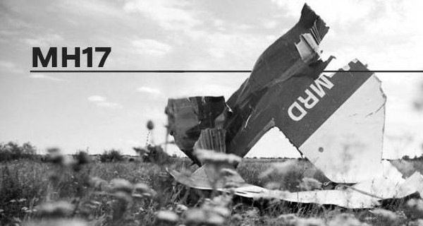 Дело MH17: суд отказался рассматривать альтернативные версии крушения Боинга под Донецком