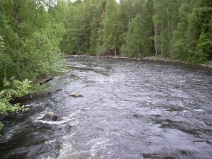 Луганская шахта загрязняет крупнейшую реку Донеччины 