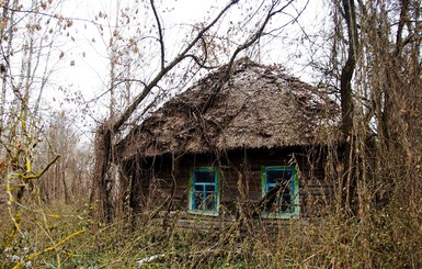 В заповеднике Чернобыля обнаружили сказочный теремок