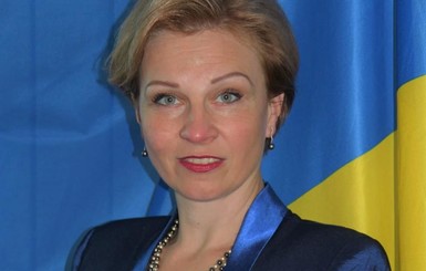 Украина возглавила Дунайскую комиссию впервые за 70 лет 