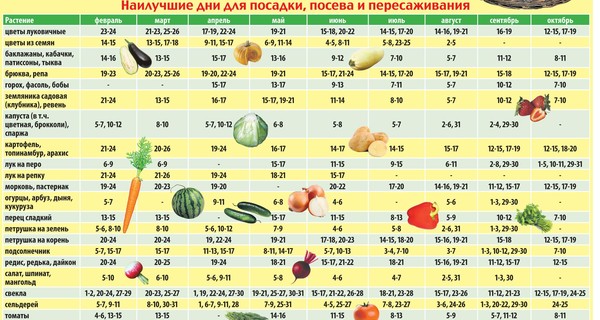 Календарь огородника-2021