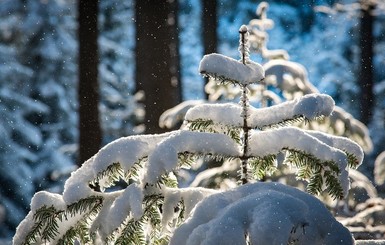 На запад Украины движется непогода: могут произойти перебои со светом и начаться проблемы на дорогах