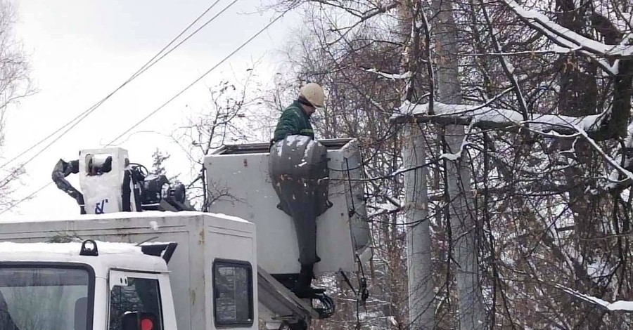 В Киевской области бобры на день оставили жителей села без света