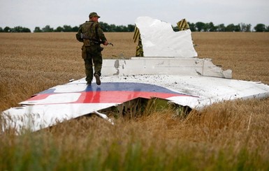 Слушания по делу о сбитом над Донбассом Боинге перенесли на апрель