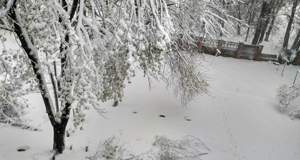 Днепр занесло снегом