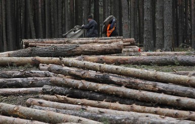 Станут ли украинцы богаче, получая доход от наших недр