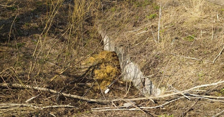 В Киеве задержали подозреваемых в убийстве активиста