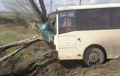 На Донбассе автобус с шахтерами врезался в дерево