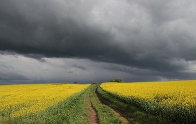 Когда в Украине потеплеет по-настоящему: что обещают синоптики