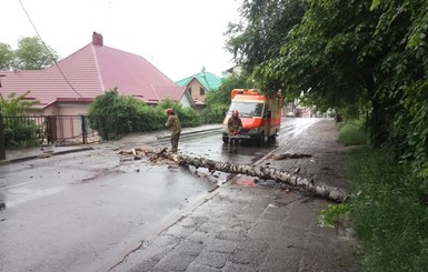 На западе Украины реки выйдут из берегов