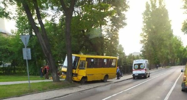 Во Львове маршрутка влетела в дерево, пятеро пассажиров - в больнице