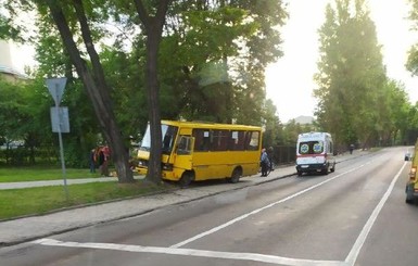 Во Львове маршрутка влетела в дерево, пятеро пассажиров - в больнице