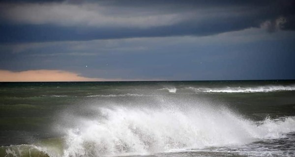 В Одессе зацвело море, купаться опасно