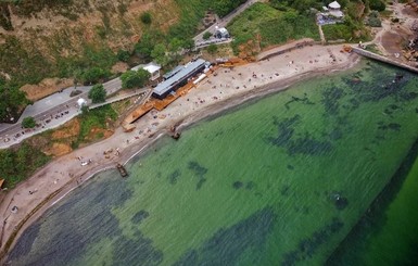 Отдых на море в Украине: с токсичными водорослями, змеями и морскими блохами