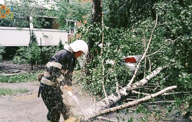 Непогода на Хмельнитчине: разбитые машины, поломанные деревья и отключение света