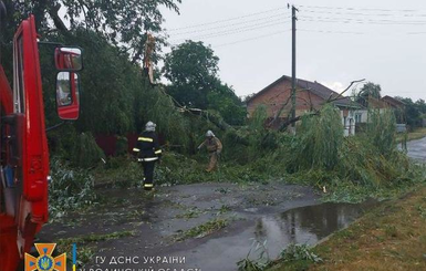 На Волынии молнии устроили несколько пожаров