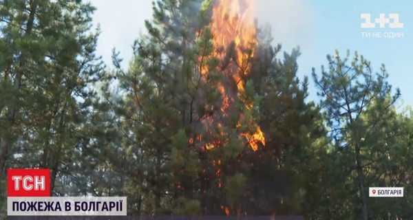 В Болгарии горит заповедная гора Сакар