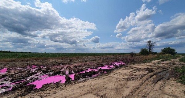 Полиция Ровенщины открыла уголовное дело из-за ядовитых розовых луж