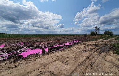 Полиция Ровенщины открыла уголовное дело из-за ядовитых розовых луж