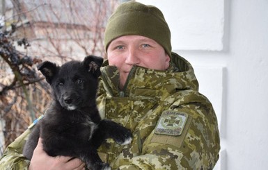 Пограничник спас щенка, которому неизвестные натянули на голову носок и пластиковую бутылку