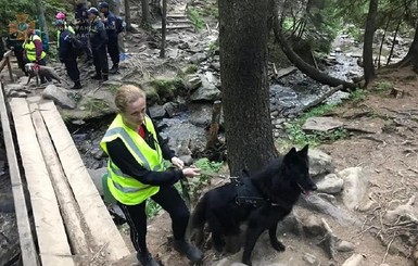 В Карпатах второй день ищут 6-летнего мальчика, заблудившегося в горах