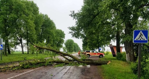 В Украине обесточены 138 населенных пунктов