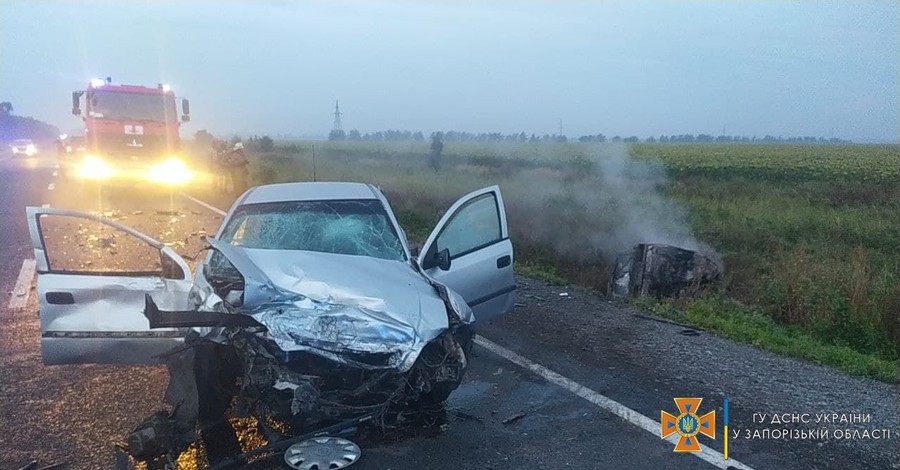 Под Запорожьем столкнулись два автомобиля, погибли пятеро, среди них - трое маленьких детей