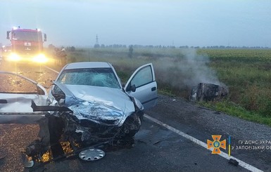 Под Запорожьем столкнулись два автомобиля, погибли пятеро, среди них - трое маленьких детей