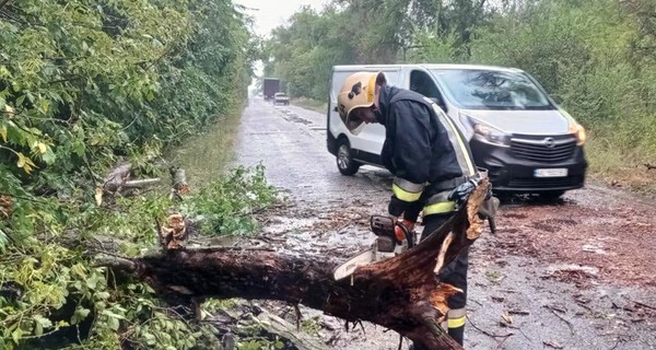 Гроза и ливни оставили без света 64 населенных пункта в четырех областях Украины