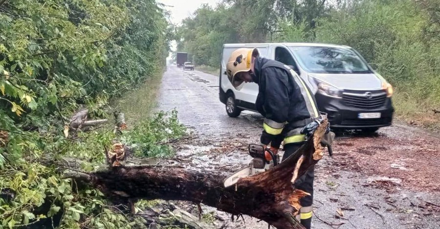 Гроза и ливни оставили без света 64 населенных пункта в четырех областях Украины