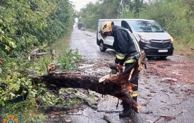 Гроза и ливни оставили без света 64 населенных пункта в четырех областях Украины