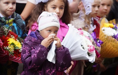 Не путать с аллергией на амброзию: в сентябре нас атакуют домашние клещи