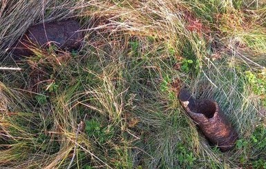 Причиной смерти двух туристов в Карпатах стал взрыв старого снаряда