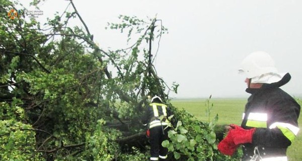 Непогода обрушилась на две области Украины: обесточен 71 населенный пункт 