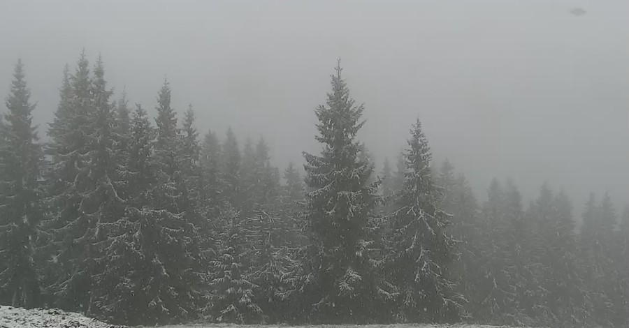 Буковель засипало першим снігом