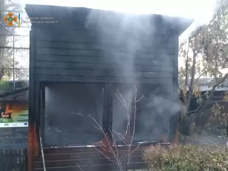 У Луцькому зоопарку згорів дерев'яний будиночок з мавпами