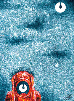 Вы верите в плохие приметы? 