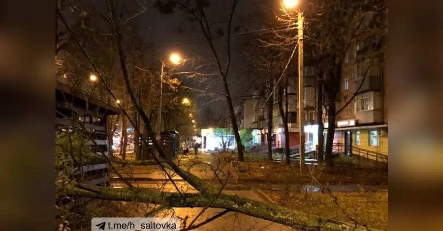 По Харькову «прошелся» штормовой ветер, оставив после себя поваленные деревья и разбитые машины  