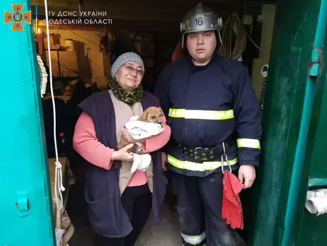 Під Одесою рятувальники дістали цуценя зі зливної ями, що знаходилася під залізобетонним покриттям