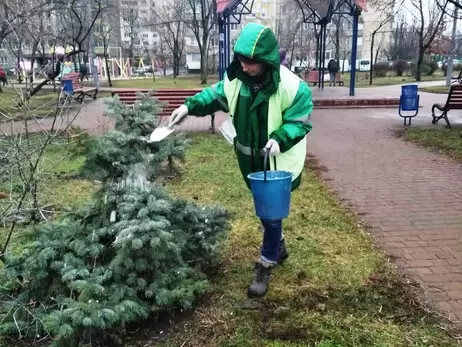 У Києві ялинки почали обробляти «смердючими» речовинами, щоб не несли додому