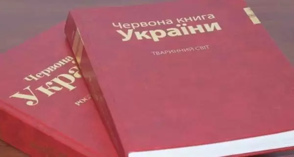 Слепыши, лоси и суслики - краснокнижные животные, которых может потерять Украина