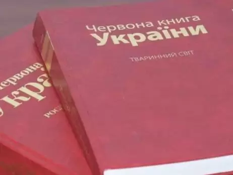 Слепыши, лоси и суслики - краснокнижные животные, которых может потерять Украина