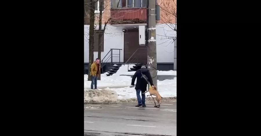 В Днепре мужчина натравил собаку на пенсионера. А потом сделал вид, что это случайность 