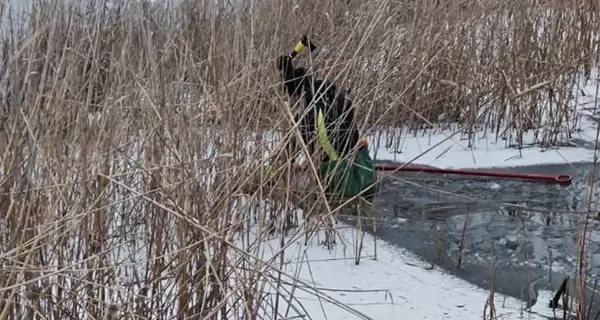 Вбивці 11-річного хлопчика з Якимівки зізналися ще в одному вбивстві