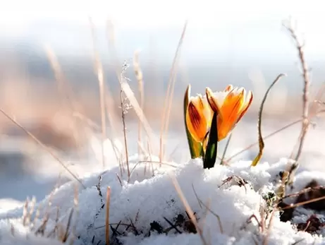 Вітання з першим днем весни із віршами