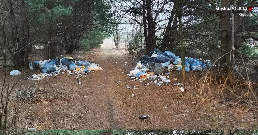 У Польщі поліцейські декілька тижнів вистежували українця-порушника, щоб виписати йому штраф