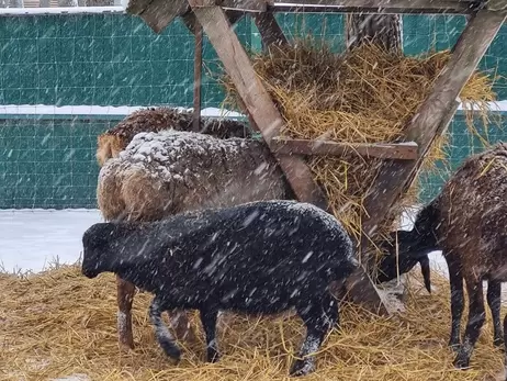 Харківський 