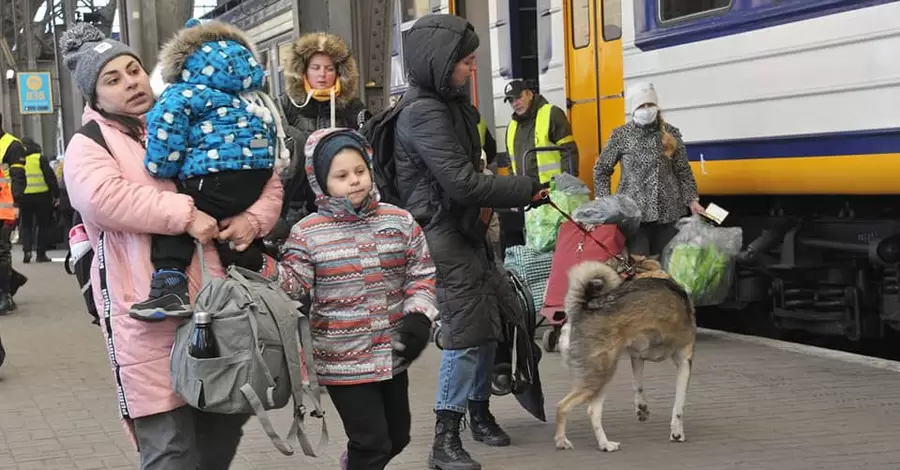 Співробітники 