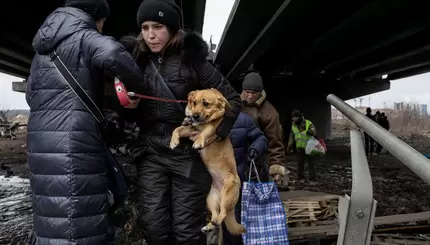 Своих не бросаем: трогательные фото людей и их животных во время войны 