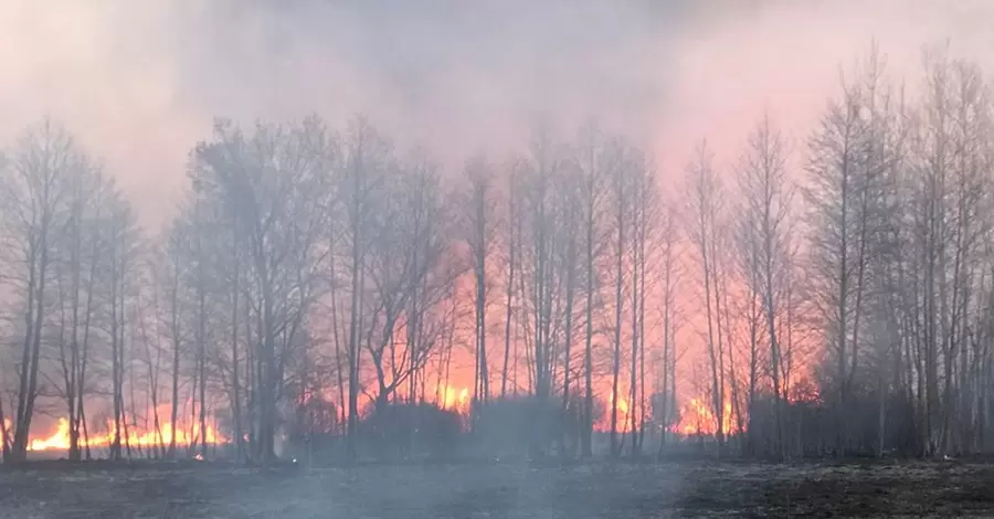 Полтавська ОВА: Палії сухостою, які відволікають рятувальників, заплатять штраф та копатимуть траншеї